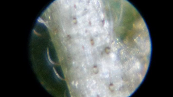 20161126_002529.jpg