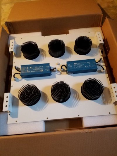 My New Light Setup Is Here!