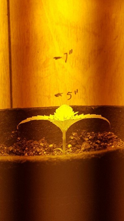 20161130_215433.jpg