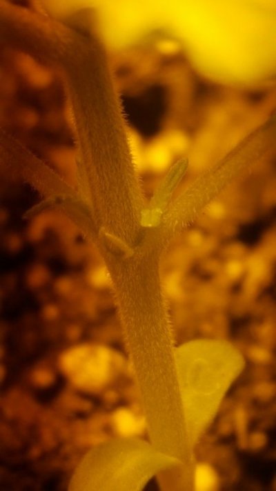 20161202_170925.jpg