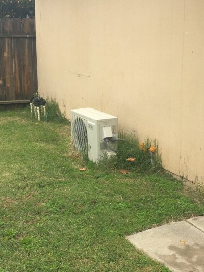image.jpeg