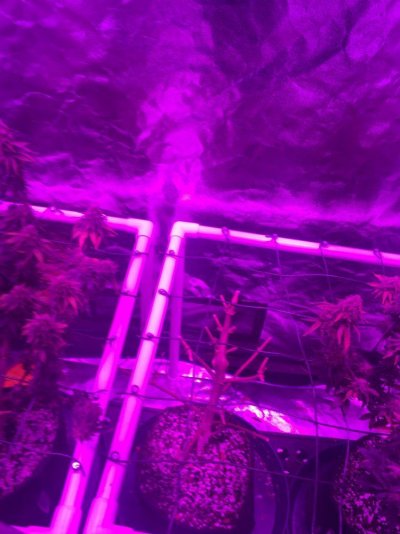 IMG_3937.JPG
