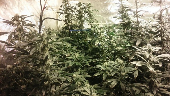 Wk 4 Bb#3
