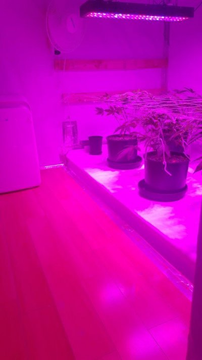 follow-my-grow-help-with-advice.jpg