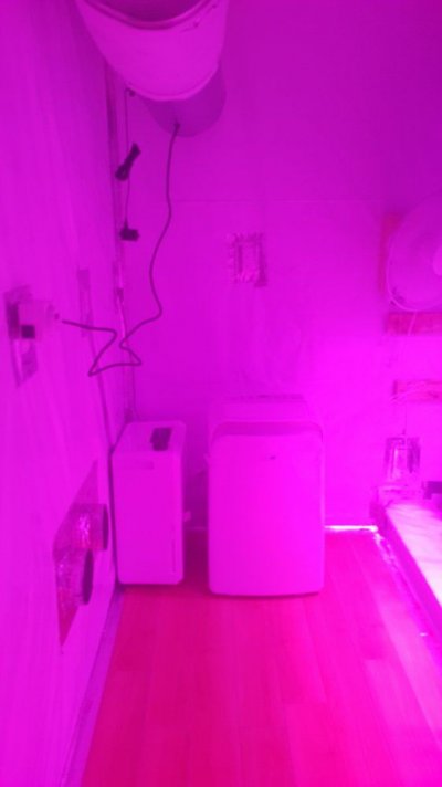 follow-my-grow-help-with-advice-2.jpg