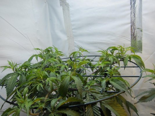 IMG_3544.jpg
