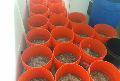 VZM.IMG_20170117_204335.jpg