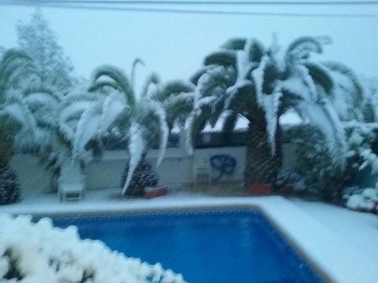 IMG-20170118-WA0000.jpg