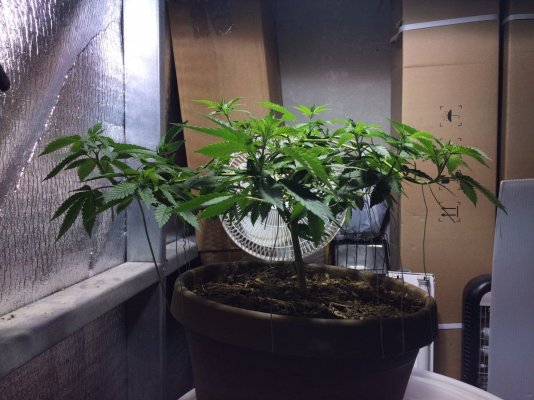 lst-training-only.jpg