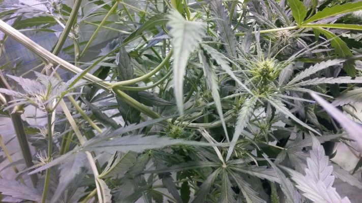20170127_225240.jpg