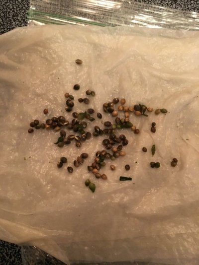Multi Strain Grow