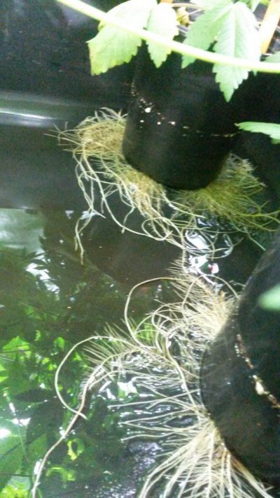 20170208_222100.jpg