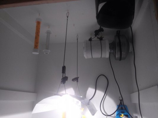 20170216_192340[1].jpg