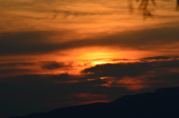 DSC_0525.JPG