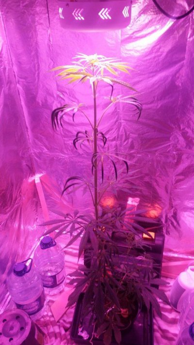 20170219_203515.jpg