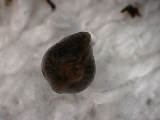 S20170221_0005.jpg