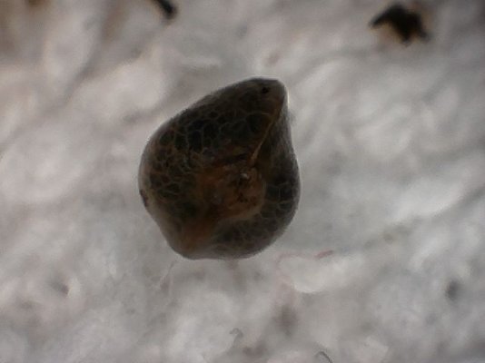 S20170221_0006.jpg