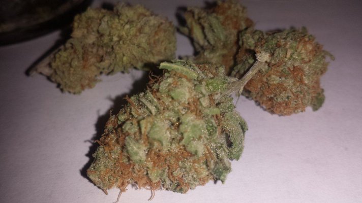 Let's See Your Frostiest Flowers