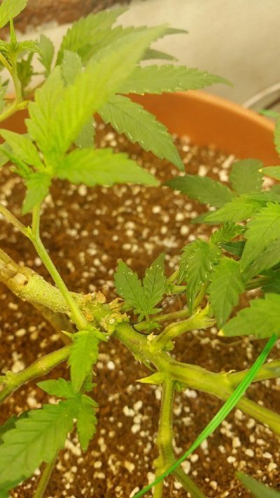 20170301_064802.jpg