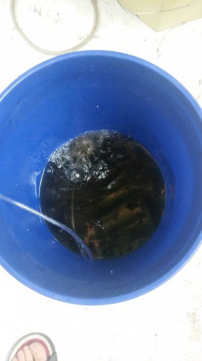 20170305_180613.jpg