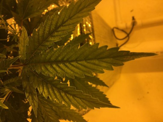 Could I Please Get A Little Help With Deficiency