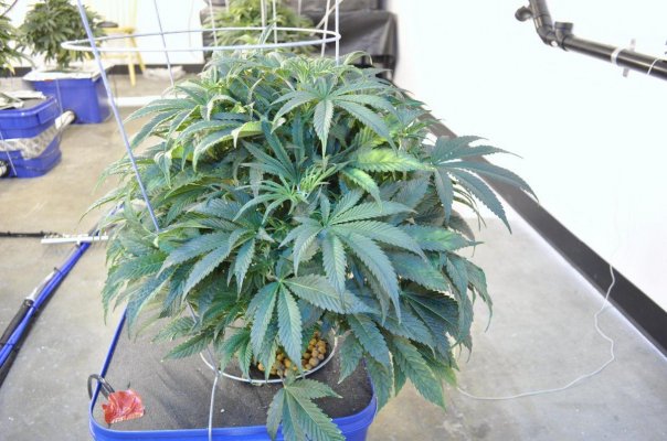 60 X 1000 Watts Under Current Hydro 20 Tons Of Ac And Some Co2