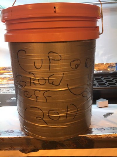 The Cup Grow Off Official Banter Thread