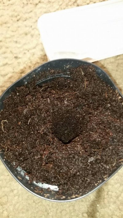20170313_073227.jpg
