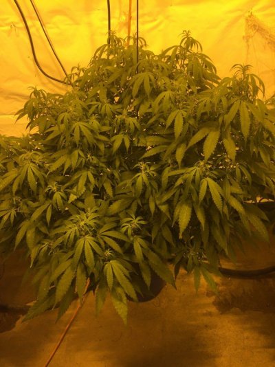 Name That Deficiency
