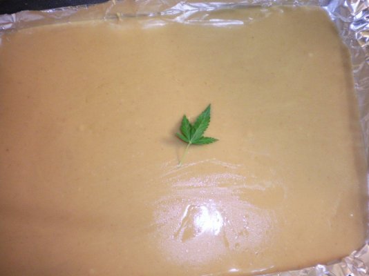 Melt In Your Mouth  Caramel Or Where Ever Els U Want  Caramel Melted