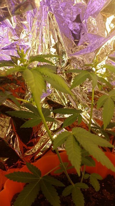 20170317_060313.jpg