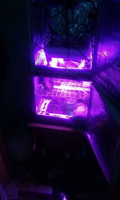 20170327_235750.jpg