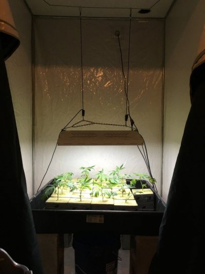 First Room Set-up..