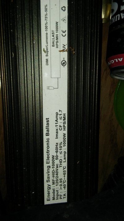 Grow Room Electrical