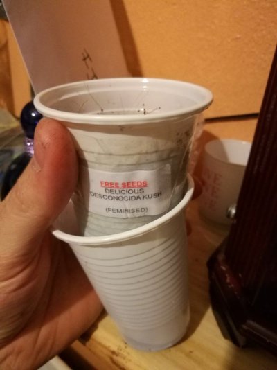 IMG_20170402_205745.jpg