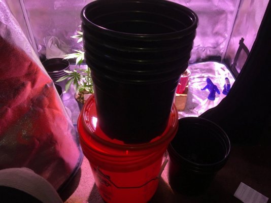 IMG_1215 - Copy.JPG