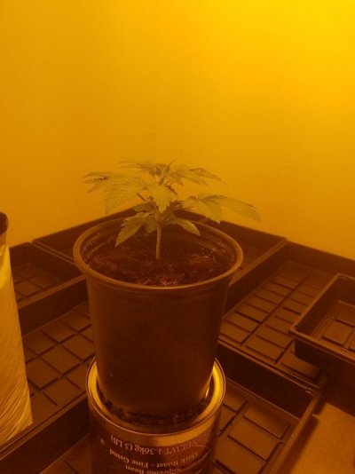20170403_221427.jpg