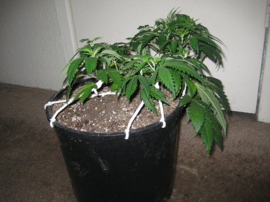 ud 5 day47 b.jpg