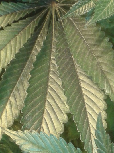 20170406_115617.jpg
