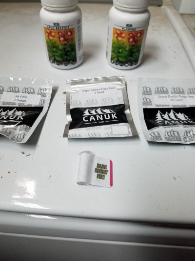 20170407_185902.jpg