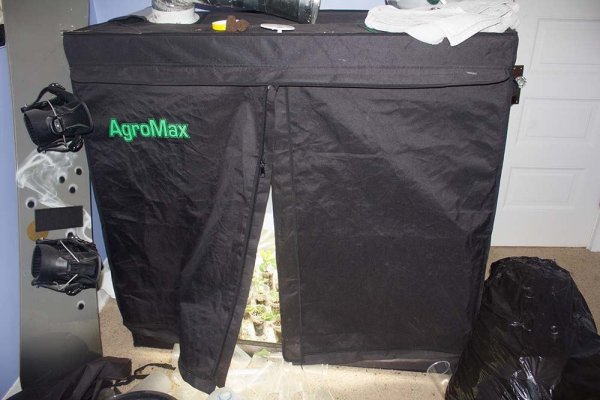 Clone tent1-private.jpg
