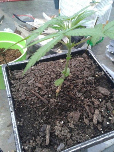 20170426_131754.jpg