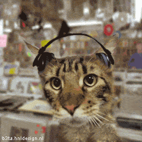 457282631d9bff98daed4d16717e60a81ef1bf7e3db8e6dbe3070d55543a981c_medium_animated.gif