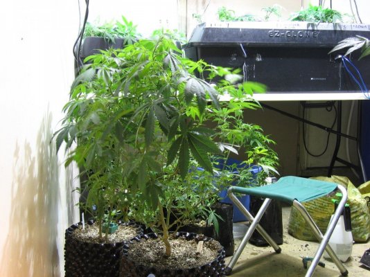 begining of week 6 013.jpg