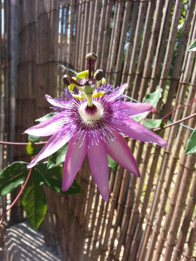 20170508_112711.jpg