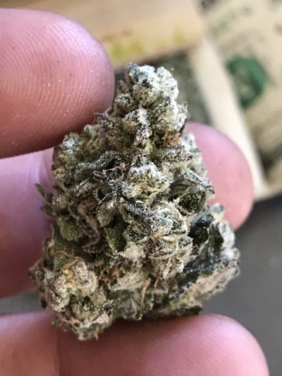Anybody Building Larger Grows In Michigan?