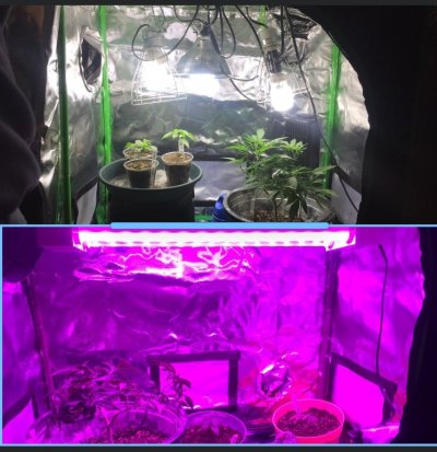 New Led Light