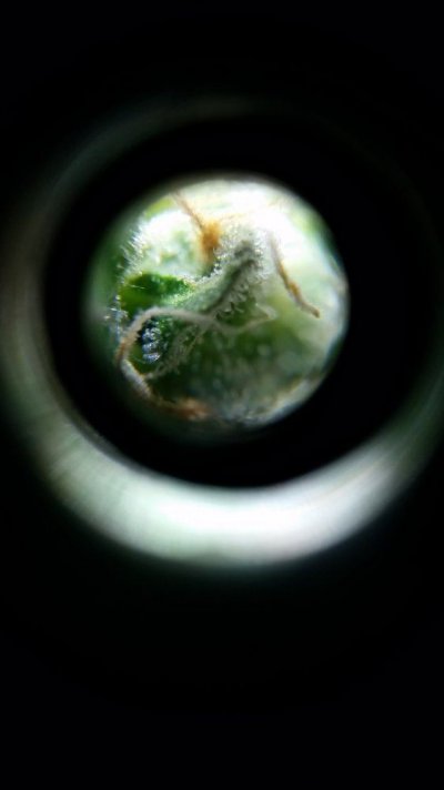 20170603_200803.jpg