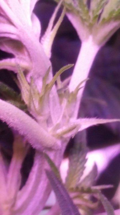 20170605_194214.jpg