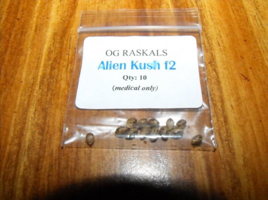 Alien Autopsy